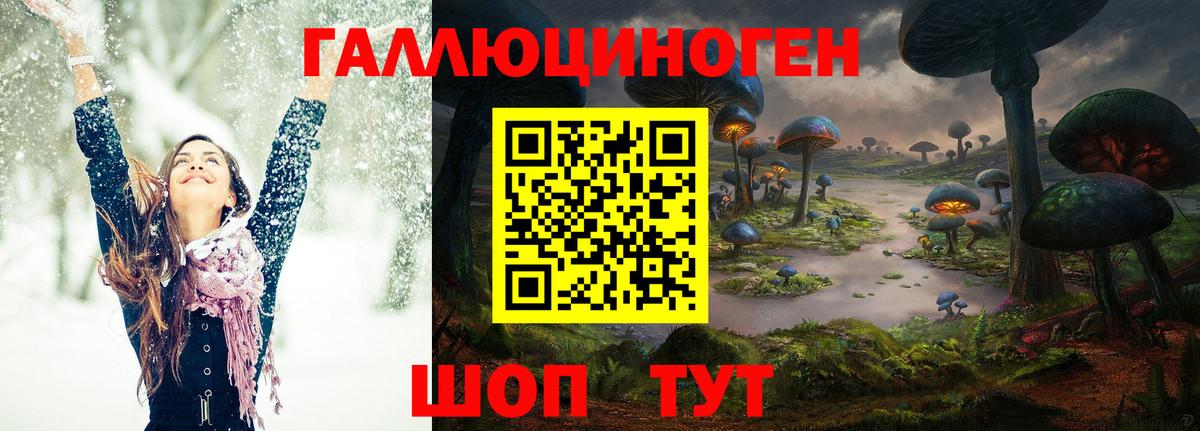 Галлюциногенные грибы GOLDEN TEACHER Елабуга