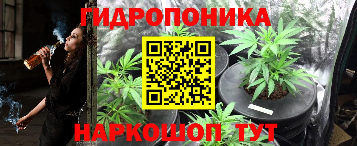 Канабис SATIVA & INDICA Елабуга